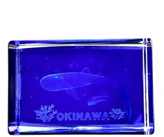 クリスタル３３４　沖縄ジンベエザメ　Ｂ