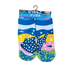 キッズソックス　ぴったんこ　ジンベエザメ　ＳＩＺＥ１３～１８ｃｍ