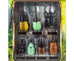 立体甲虫図鑑　世界のカブトムシ