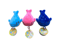 沖縄限定もちもちジンベエちゃんＢＣ（青･水･Ｐ）