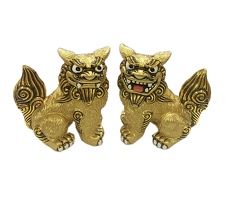 黄金獅子（くがに）座　